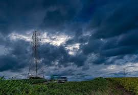 Kimberly Baumgardner