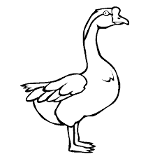 Coloring page of funny farm goose vector. Goose Coloring Page Animals Town Animal Color Sheets Goose Picture