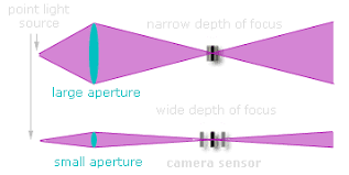 understanding depth of field in photography