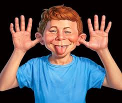 Book recommendation found