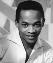 Danny Williams Discography: Vinyl, CDs, & More