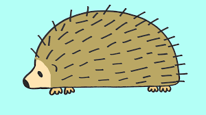 Let's start off by drawing the porcupine's body. Watch How To Draw A Porcupine Step By Step Drawing Class For Kids And Beginners Prime Video