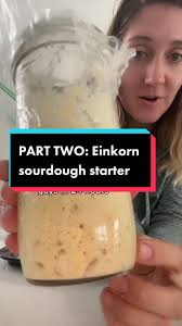 Einorn Sourdough Bread Machine