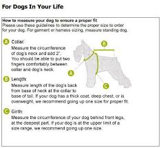 In The Company Of Dogs Size Chart Miniature Schnauzers Of