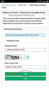 Check Available Funds On Iqama Online Checks Fund Math Formulas