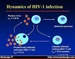 Image result for HIV Pathophysiology