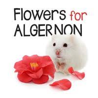 Check spelling or type a new query. Flowers For Algernon Progress Report 1 3 Quiz Quizizz