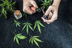 Image result for how to make cbd oil vape cheal