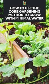 how to use the core gardening method to grow with minimal water growing vegetables organic vegetable garden organic gardening tips