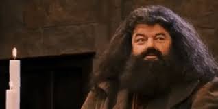 This article about a voice actor or voice actress is a stub. Harry Potter X Hagrid Page 1 Line 17qq Com