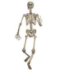 5 Foot Hanging Skeleton Spirit Posable Skeleton Skeleton Decorations Halloween Skeleton Decorations