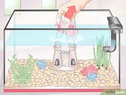 Aquarium decorations make fish tanks look attractive because they add details and color to the plain glass container. How To Clean Aquarium Decorations 15 Steps With Pictures