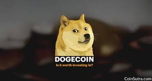 Named after the famous meme of the shiba inu dog it has attracted the attention of the blockchain community. The Future Of Dogecoin Is It Worth Investing In