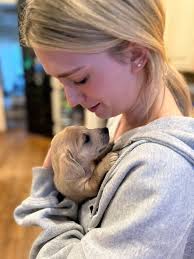 This month Rubies and Rogues has brought animals in from Columbia to  Murfreesboro and back! From June 1 to present date we've brought in 39  animals and have 3 returning from adoption (