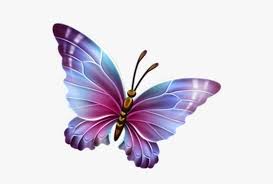 July fourth is fast approaching, so i thought i would choose a few favorite patriotic images from the archives to share with you. Butterfly Png Transparent Background Butterfly Clipart Png Image Transparent Png Free Download On Seekpng