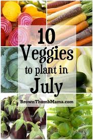 9 Vegetables To Plant In July Zone 9 Organic Gardening Tips Planting Vegetables Growing Vegetables