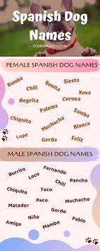 Spanish Dog Names Dog Name Hero Dog Names Dog Breed Names Cute Names For Dogs