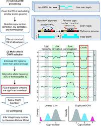 Cnvcaller Highly Efficient And Widely Applicable Software For Detecting Copy Number Variations In Large Populations Genome Sequencing Performance Evaluation X Chromosome