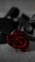 Lock Screen Red Rose Black Background Wallpaper