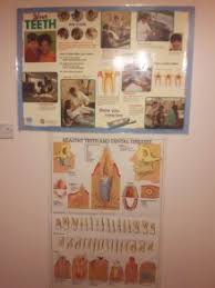Old Dental Charts For Sale In Bailieborough Cavan From