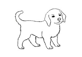 Pin On Animal Drawings