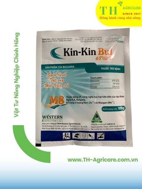 Kin-kin Bul 68WG