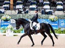 Bolt fliegt mit weltrekord zu gold 2008. Paralympics 2021 Tokio Alles Was Sie Uber Die Paralympischen Reiter Spiele Wissen Mussen