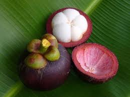 20 Fruits Surprenants Dont Vous N Avez Jamais Entendu Parler Mangoustan Fruit Fruits Et Legumes Idee Legume