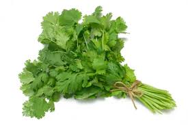 Itulah sebabnya ia sering dicampurkan ke dalam masakan seperti sup dan tumisan. Selalu Tersilap Beli Daun Sup Vs Daun Ketumbar Makanlena