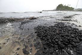 Created by k.i.s (kikis ivan sukma). Report Finds World Bank S Coal Divestment Pledge Not Stringent Enough