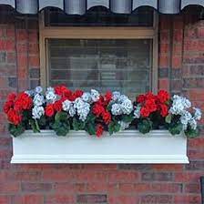 Check spelling or type a new query. Huge Gallery Of Window Boxes To Share On Pinterest Window Box Flowers Christmas Window Boxes Winter Window Box Ideas