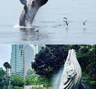 Sculpture stainless steel whale | Art Metal Sculpture