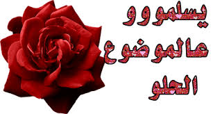 كعك العيد.. بطرق مختلفة Images?q=tbn:ANd9GcQwq777lj0GaKywkT-4v7TqN9NHvJrVw4a_EA&s