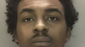 Brother and sister jailed for life over frenzied murder with victim stabbed  20 times