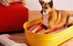 Use an old wine or whiskey barrel to create a diy dog bed or dog house for your best friend. 12 Creative Ideas To Turn Everyday Items Into A Diy Dog Bed