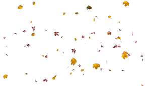 Download Falling Leaves Png Images Flying Autumn Leaf Png Free Autumn Leaves Png Fall Leaves Png Autumn falling leaves, layered background. download falling leaves png images