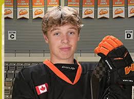 Jun 05, 2021 · parkhill goalie becomes first female selected in ohl draft taya currie (photo courtesy of the ontario hockey league via twitter) by kirk dickinson june 5, 2021 2:47pm 2021 Ohl Draft Coverage Day Two North Bay News