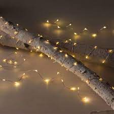 Insulated & waterproof led copper wire string lights. Pin On My Wish List