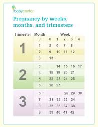 trimester month chart shantis blog