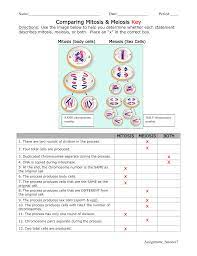 Mitosis vs meiosis color by number worksheet for review or. Comparing Mitosis And Meiosis Worksheet Answer Key Nidecmege