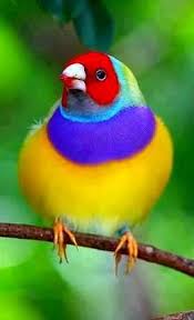 Pin On All The Colors Of The Rainbow