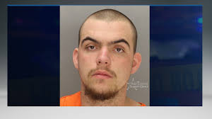 Burglary suspect nabbed after high-speed chase