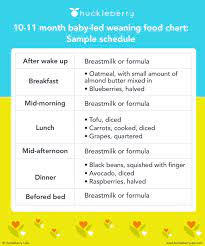 Baby Led Weaning A Complete Guide To First Foods Huckleberry