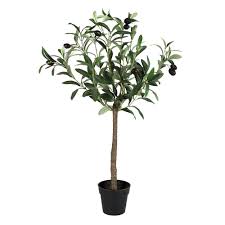Olive tree indoor decor artificial potted best olive tree modern farmhouse decor boho. Gracie Oaks Faux Olive Tree In Pot Reviews Wayfair