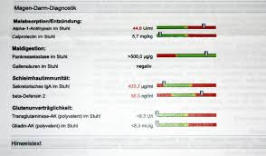 Leaky Gut Syndrom Leaky Gut Behandlung Praxis Fabian Muller