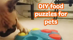 Maybe you would like to learn more about one of these? Diy Dog And Cat Food Puzzles Youtube