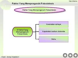 Tujuan penelitiannya adalah untuk memperkirakan efisiensi ekonomi sektor produksi. Chapter 6 Nutrition 6 1 Types Of Nutrition