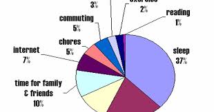 Above All Else Life As A Pie Chart