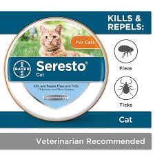 6 Best Flea Collar For Dogs And Cats