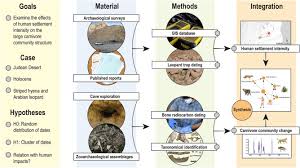 Please note that searchtruth.com cannot guarantee the accuracy of the meanings of names listed on this site. Changes In The Large Carnivore Community Structure Of The Judean Desert In Connection To Holocene Human Settlement Dynamics Abstract Europe Pmc